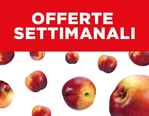 Esselunga — OFFERTE SETTIMANALI SUPER FRESCHE